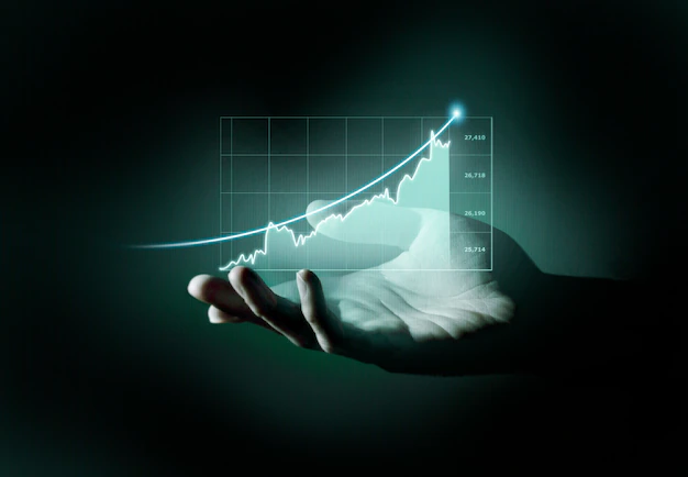 Gestão Financeira Básica